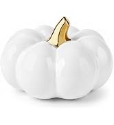 Vhxmaizxn 8.2 Inch Ceramic Pumpkin Halloween Artificial Porcelain Pumpkins | White Fake Pumpkin F...