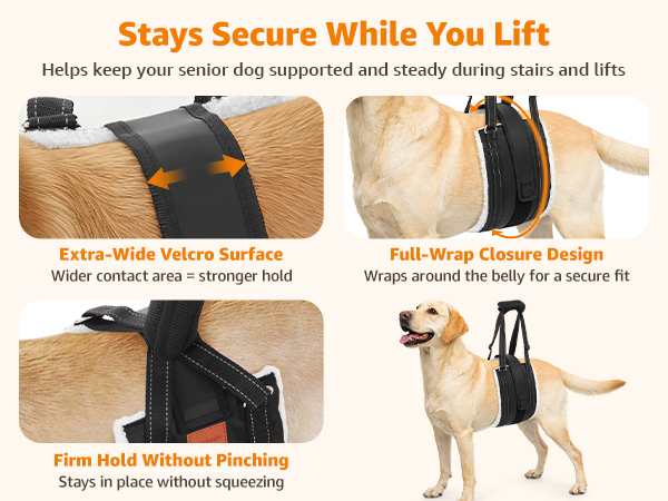 dog carrying sling