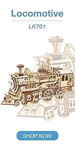 ROKR 3D Wooden Motorcycle Puzzle-1:8 Scale Wood Model Motorcycle Kits to Build for Adults