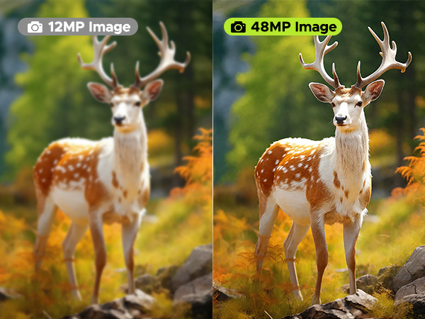 Night Vision Goggles