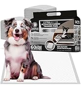 American Kennel Club Charcoal Puppy Training Pads, with Anti-Slip Adhesive Backing, Quick Dry Gel...