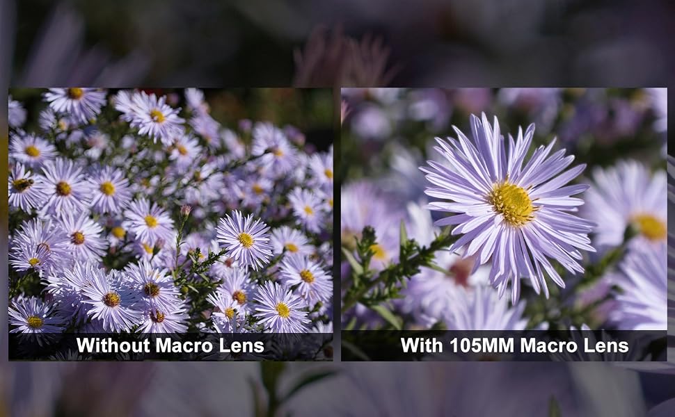 105mm macro lens