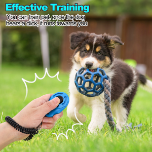 Pet Training Clicker