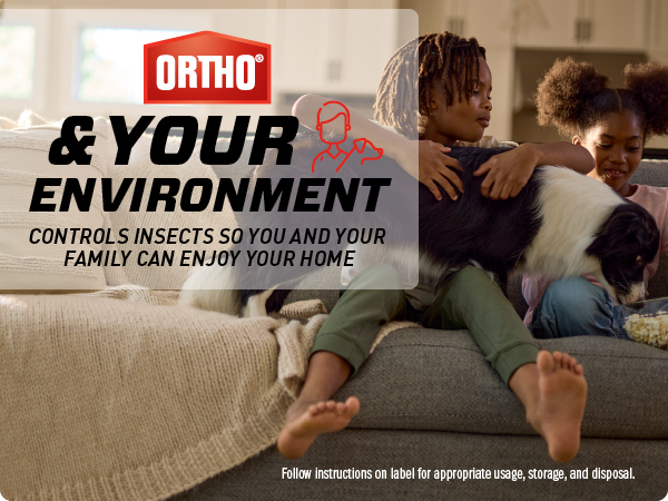 Ortho and Your Environment