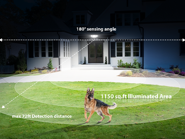 outdoor flood lights