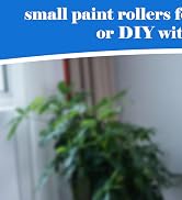 Mister Rui Foam Paint Roller, 2 Inch Mini Paint Roller Kit 10 Pack, Touch Up Small Paint Roller f...