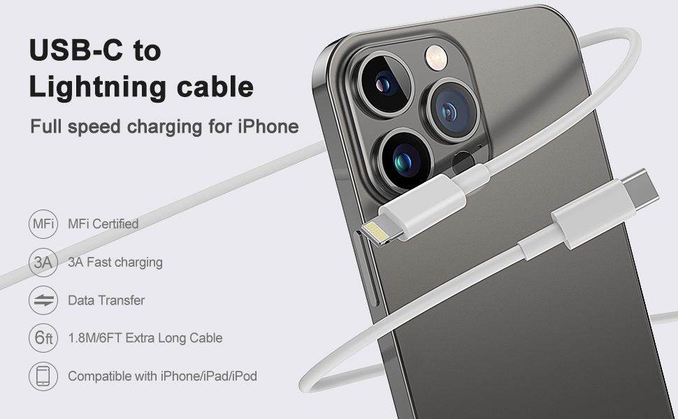 USB C to Lightning Cable