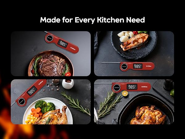 thermometer for cooking