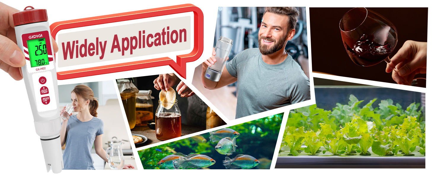 Multifunctional test pen