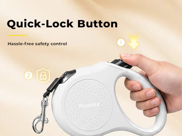 dog leash retractable