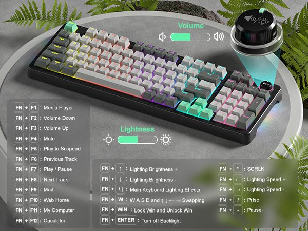 mechanical keyboard