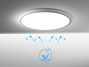 LED Ceiling Light