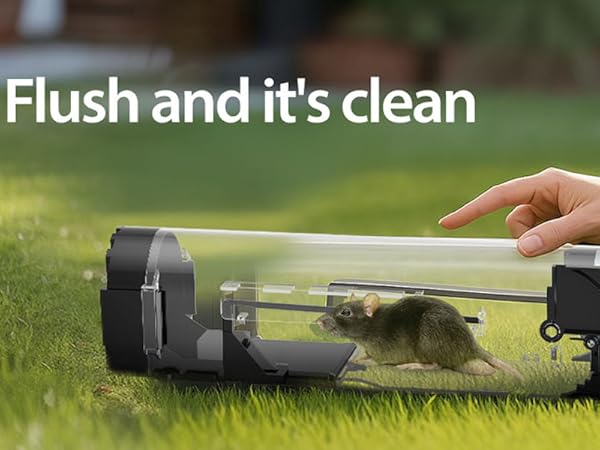 Humane Mouse Traps, 12 inches Enlarged No Kill Rat Live Traps for Chipmunks,