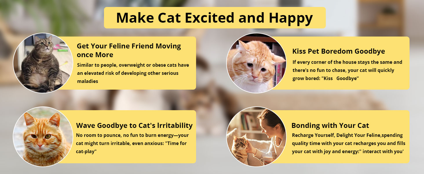 cat toys