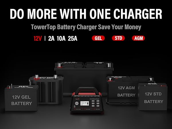 LiFePO4 battery charger