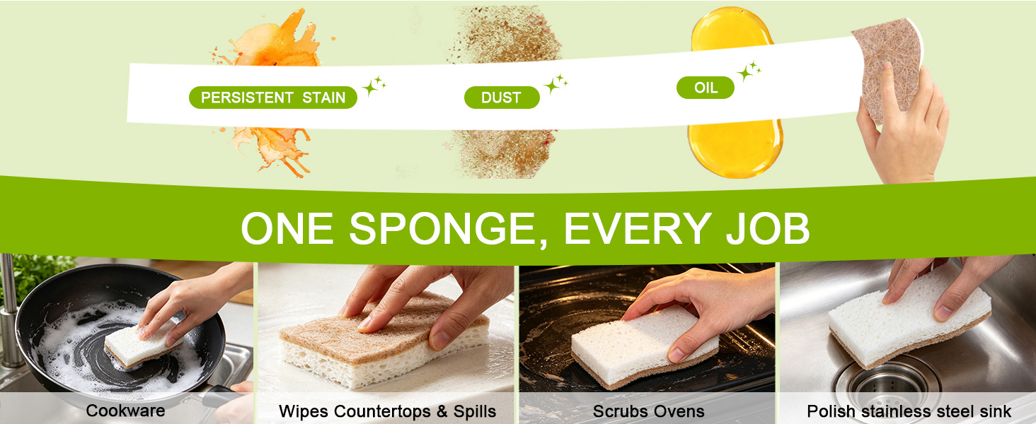 dish sponge