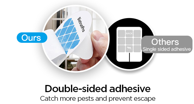 fruit fly traps for indoors gnat traps for house indoor gnat killer indoor fruit fly killer gnats