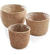 Casafield Set of 3 Seagrass Planter Baskets with Liners - Natural, Hand Woven Indoor Flower Pot C...