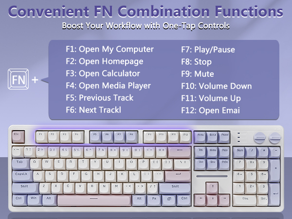 fn media keys