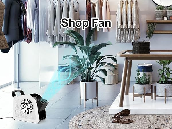 Shop fan