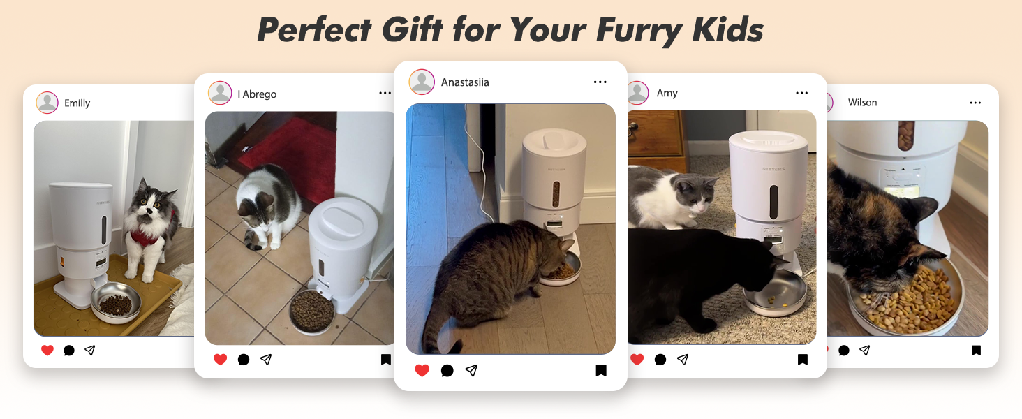 cat food dispenser automatic cat feeder pet feeder automatic dog feeder