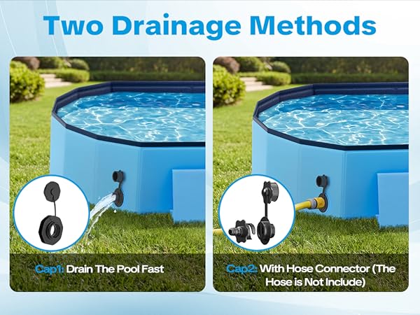 Dog Pool