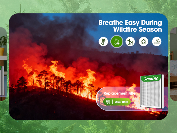 best air purifiers for home