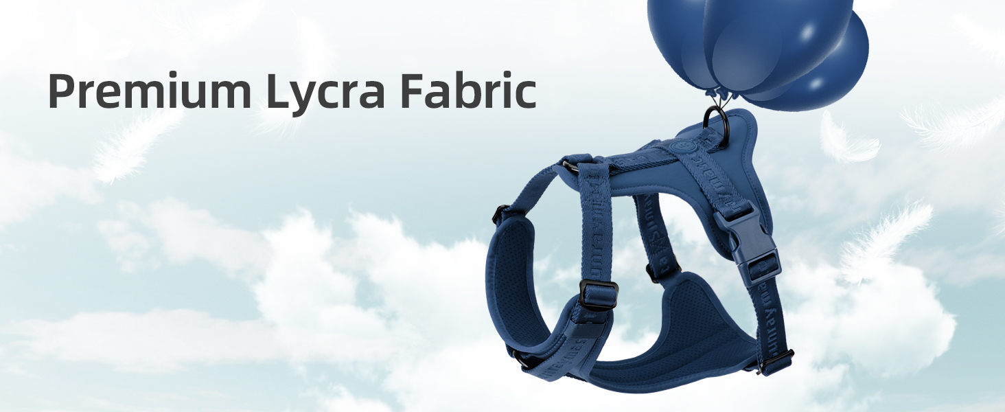 dog harness