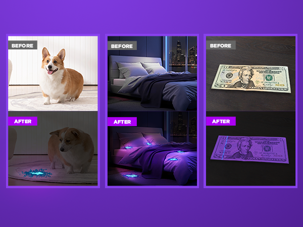 Under the irradiation of UV light, dog urine, stains and counterfeit money have nowhere to hide.