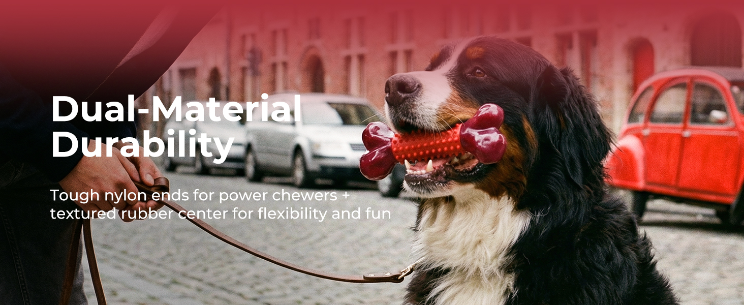 aggressive chew toys for large dogs