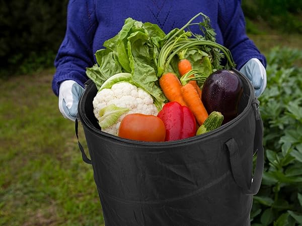 Vegetable bag