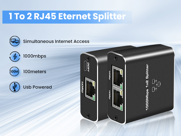 Ethernet Splitter 1 in 2 Out