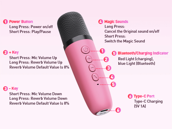 Portable Karaoke Machine