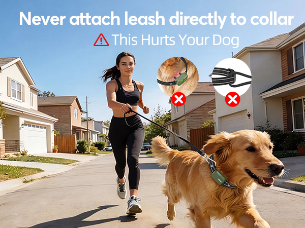 shock collar for small medium large dogs