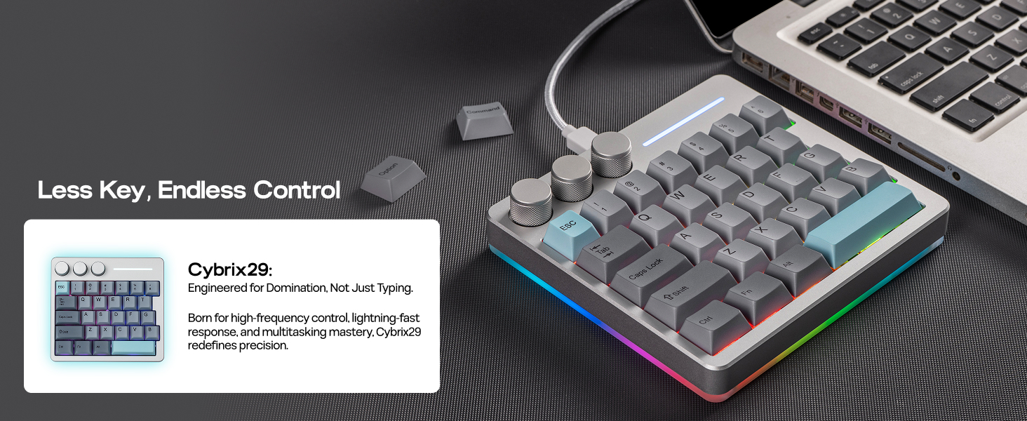 Cybrix29 Silver
