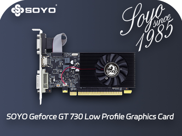 low profile graphics card