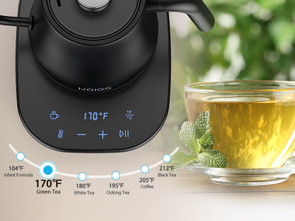 temperature control gooseneck kettle 