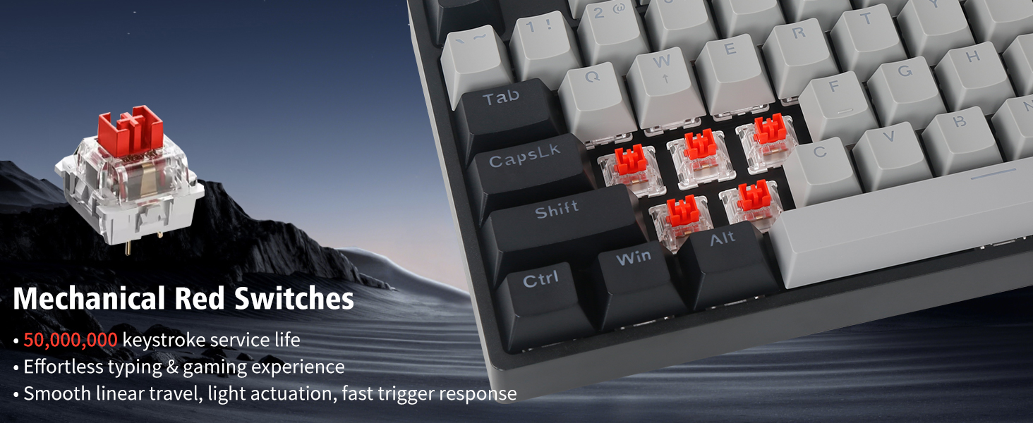 red switches