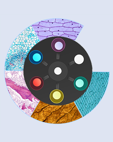 Monocular Microscope with LED Light