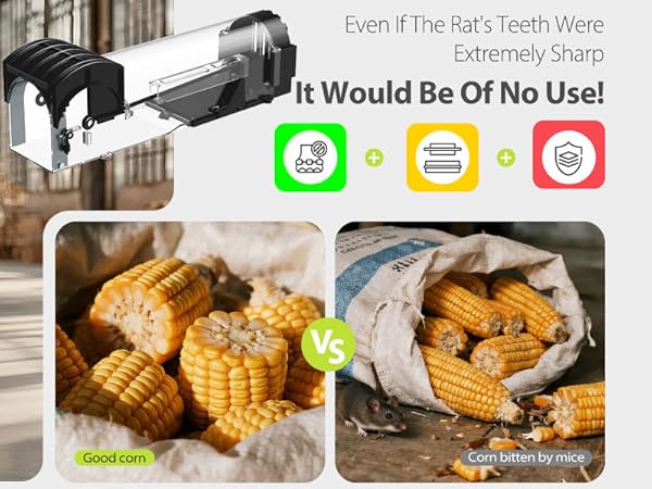 Humane Mouse Traps, 12 inches Enlarged No Kill Rat Live Traps for Chipmunks,