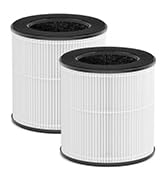 air purifier dust