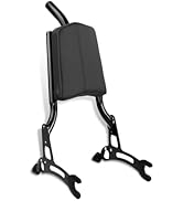 Harvards Chrome Detachable Sissybar for Indian Challenger/Chief Dark Horse/Chieftain Elite/Indian...