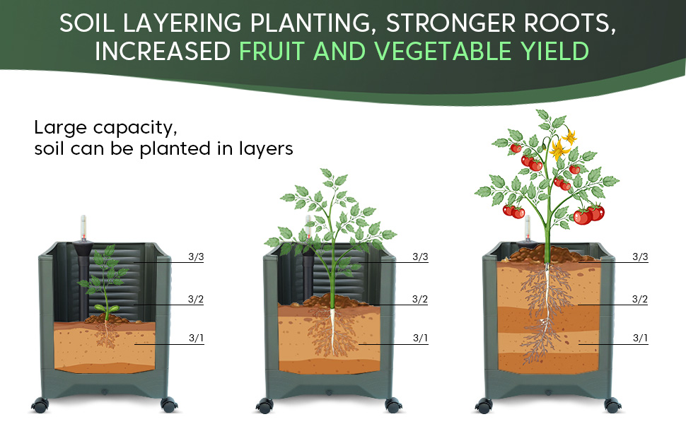 tomato planter