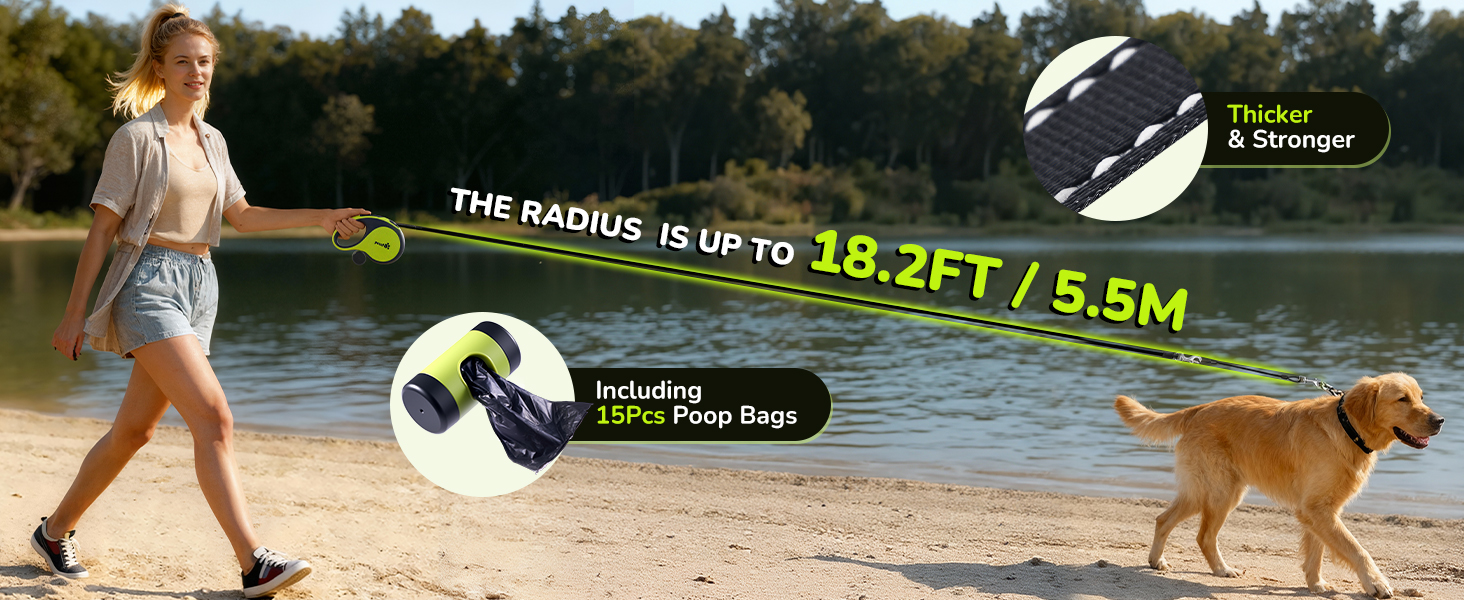 retractable dog leash