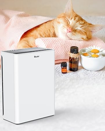Air Purifier