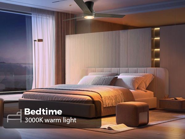 Ceiling Fans with Lights