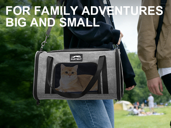 cat carrier grey