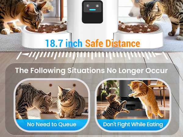 automatic dog feeder