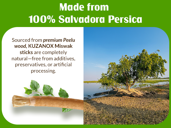 Miswak Sticks Teeth Natural Miswak Toothbrush Sticks Organic Salvadora Persica Sewak Miswak Sticks