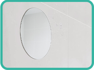 Feature 2 Shower Mirror
